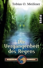 Tobias O. Meißner - Die Vergangenheit des Regens