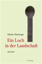 Günter Herburger - Ein Loch in der Landschaft