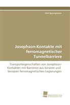 Dirk Sprungmann - Josephson-Kontakte mit ferromagnetischer Tunnelbarriere