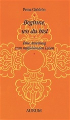 Pema Chödrön - Beginne, wo du bist