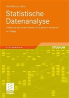 Wolf-Michael Kähler - Statistische Datenanalyse