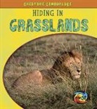 Deborah Underwood - Hiding in Grasslands