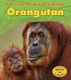 Anita Ganeri - Orangutan