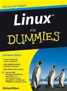 Richard Blum - Linux für Dummies, m. DVD-ROM