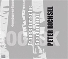 Peter Bichsel, Peter Bichsel - Transsibirische Geschichten, Audio-CD (Audio book)