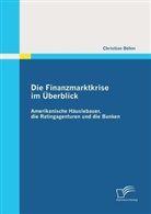 Christian Böhm - Die Finanzmarktkrise im Überblick: Amerikanische Häuslebauer, die Ratingagenturen und die Banken
