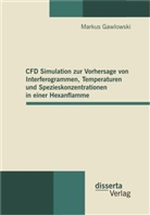 Markus Gawlowski - CFD Simulation zur Vorhersage von Interferogrammen, Temperaturen und Spezieskonzentrationen in einer Hexanflamme
