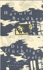 Harold Brodkey - Die flüchtige Seele