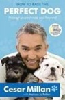 Cesar Millan, Millan Cesar - How to Raise the Perfect Dog: Through Puppyhood and Beyond