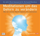 Ric Hanson, Rick Hanson, Richard Mendius, Andreas Gröber, Erich Räuker - Meditationen, um das Gehirn zu verändern, 3 Audio-CDs (Hörbuch)
