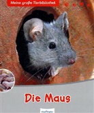 Stéphane Frattini, Thierry Bonnard, Jean-Francois Franco, Jean-François Franco - Die Maus