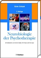 Günter Schiepek, Günte Schiepek, Günter Schiepek - Neurobiologie der Psychotherapie