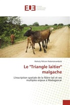 Maholy Félicien Rabemanambola, Rabemanambola-M - Le triangle laitier malgache