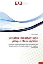Julien Senter, Senter-J - Jet plan impactant une plaque