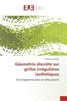 Antoine Vacavant, Vacavant-a - Geometrie discrete sur grilles