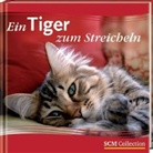 Norbert Schnabel - Ein Tiger zum Streicheln