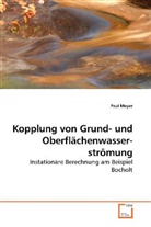 Paul Meyer - Kopplung von Grund- und Oberflächenwasserströmung