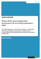 Sandra Schmidt - Welche Rolle spielt multimediale Kooperation für den Erfolg humanitärer Hilfe?