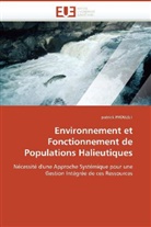 Patrick Prouzet, Prouzet-P - Environnement et fonctionnement