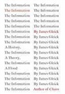 James Gleick - The Information