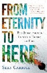 Sean Carroll - From Eternity to Here
