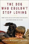 Jeffrey Masson, Jeffrey Mous Masson, Jeffrey Moussaieff Masson - The Dog Who Couldnt Stop Loving