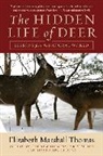 Elizabeth Marshall Thomas, Thomas Elizabeth Marshall - The Hidden Life of Deer