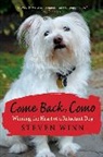 Steven Winn - Come Back, Como
