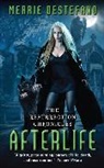 MERRIE DESTEFANO - Afterlife