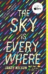 Jandy Nelson - The Sky Is Everywhere