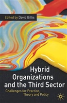 David Billis, David Billis - Hybrid Organizations and the Third Sector