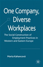 Marta Kahancov, M. Kahancova, Marta Kahancova, M Kahancová, M. Kahancová - One Company, Diverse Workplaces