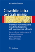 Costantino Economo, Carl Caltagirone, Carlo Caltagirone, Michael Petrides, Francesco Tomaiuolo - Citoarchitettonica cerebrale umana