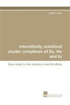 Kathrin Daub - Interstitially stabilized cluster complexes of Dy, Ho and Er