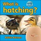 Bobbie Kalman - What Is Hatching?