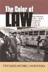 Steve Babson, Steve Riddle Babson, David Elsila, Dave Riddle - Color of Law