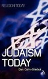 Dan Cohn-Sherbok, Daniel C. Cohn-Sherbok - Judaism Today