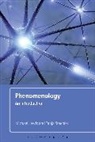 Michael Lewis, Michael Staehler Lewis, Tanja Staehler - Phenomenology