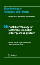 Horst Lörz, Jack M Widholm, Peter N. Mascia, Toshiyuki Nagata, Jürge Scheffran, Jürgen Scheffran... - Biotechnology in Agriculture and Forestry - 66: Plant Biotechnology for Sustainable Production of Energy and Co-products