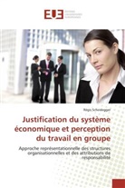 Régis Scheidegger, Scheidegger-r - Justification du systeme