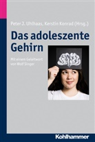 Kerstin Konrad, Peter Uhlhaas, Peter J Uhlhaas, Pete J Uhlhaas, Peter J Uhlhaas, Konrad... - Das adoleszente Gehirn