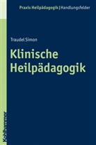 Traudel Simon, Heinric Greving, Heinrich Greving - Klinische Heilpädagogik