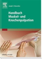 Joseph E. Muscolino - Handbuch Muskel- und Knochenpalpation