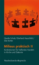Eberhar Hauschildt, Eberhard Hauschildt, E Kohler, Eike Kohler, Clau Schulz, Claudi Schulz... - Milieus praktisch II. Bd.2