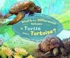 Trisha Speed Shaskan, Trisha Speed/ Bandelin-dacey (ILT) Shaskan, Trisha Speed Shaskan, Trisha Sue Speed Shaskan, Bandelin Dacey Studios, Bandelin Dacey Bandelin Dacey Studios... - What's the Difference Between a Turtle and a Tortoise?