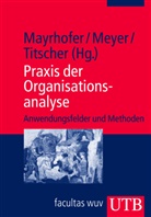 Wolfgang Mayrhofer, Michae Meyer, Michael Meyer, Michae Meyer (Prof. Dr.), Michael Meyer (Prof. Dr.), S Titscher... - Praxis der Organisationsanalyse