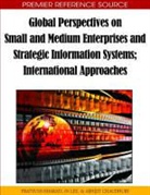 Pratyush Bharati, Abhijit Chaudhury, In Lee - Global Perspectives on Small and Medium Enterprises and Strategic Information Systems