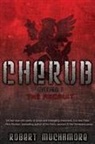 Robert Muchamore - The Recruit