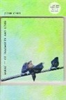 Julie Carr - Sarah--Of Fragments and Lines