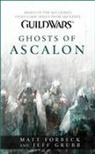 Matt Forbeck, Jeff Grubb - Guild Wars